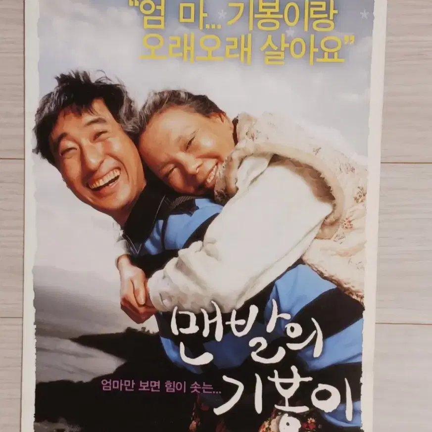 신현준 김수미 탁재훈 맨발의기봉이(2006년)(2단)전단지