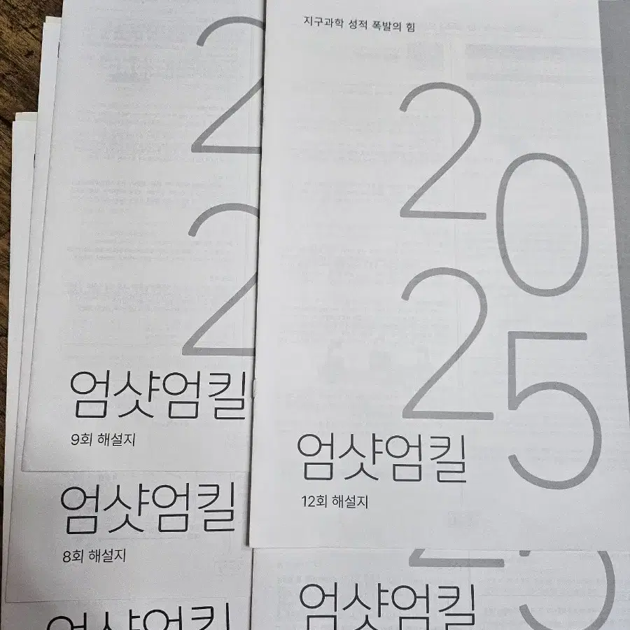 2025년 시대인재 지구과학 엄샷엄킬 나진환