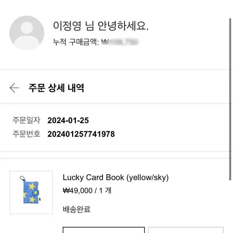 퍼피북클럽 카드지갑 Lucky Card Book (yellow/sky)