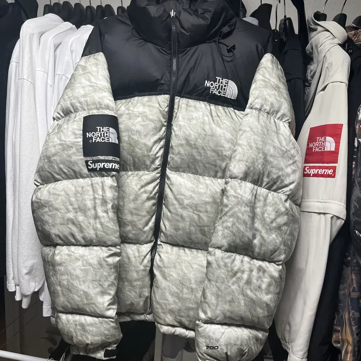 (L) Supreme x North Face Fei Nuxi