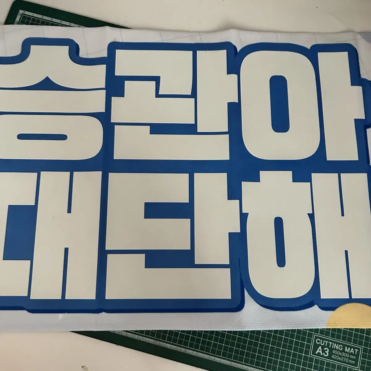 Sir boo seungkwan slogan WTS