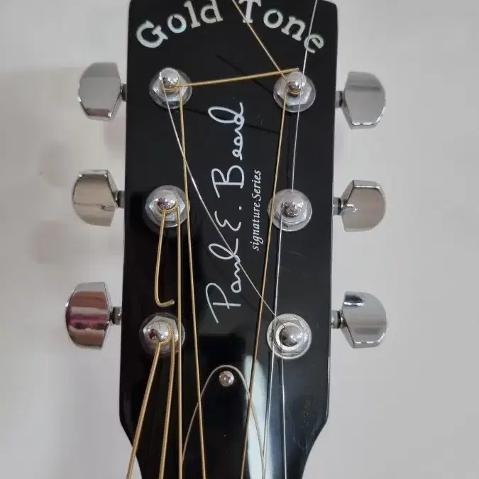 Gold Tone Paul Beard Signature-Series 레조