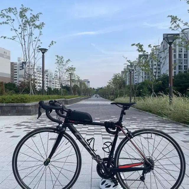 [급매]가격인하/첼로 테라 풀105 2019년형 로드자전거 카본포크