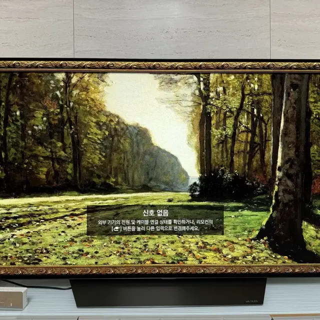 LG 4K OLED 55인치 TV