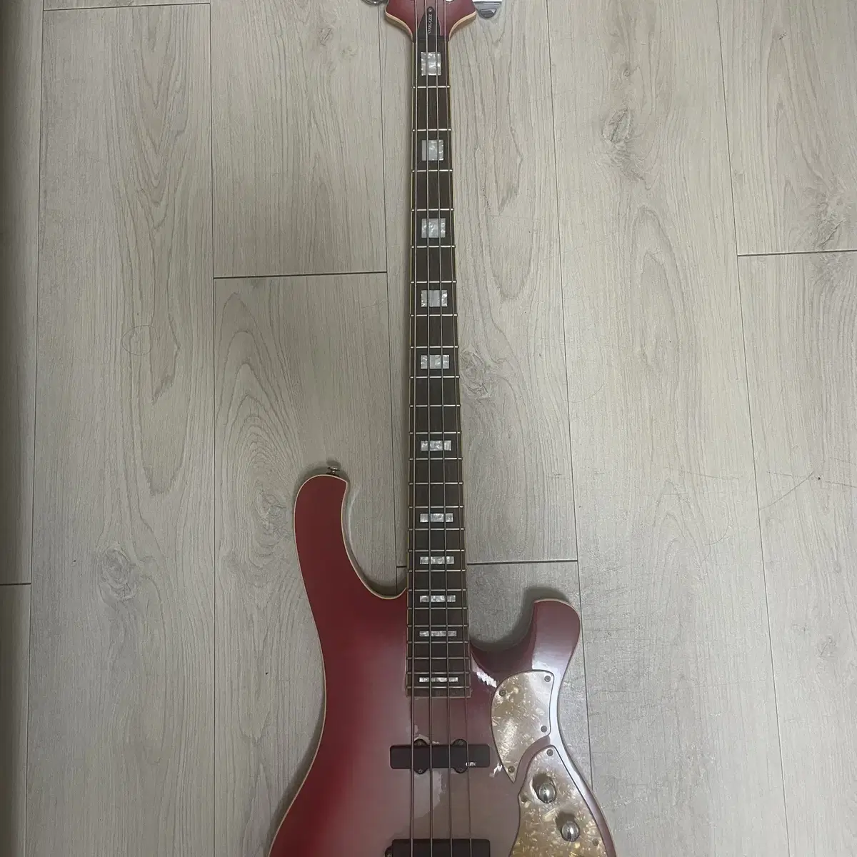 SCHECTER stargazer4 쉑터 스타게이저 베이스 판매합니다