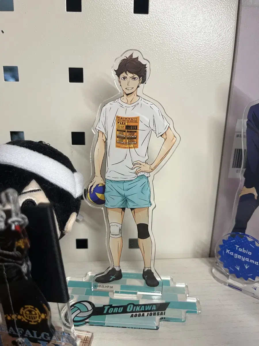 Shueisha haikyuu Jump Shop Joint Practice 2023 Oikawa