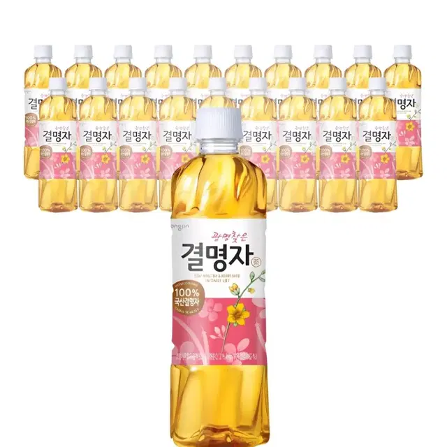 웅진 광명찾은 결명자차, 500ml, 20개  눈에 좋은