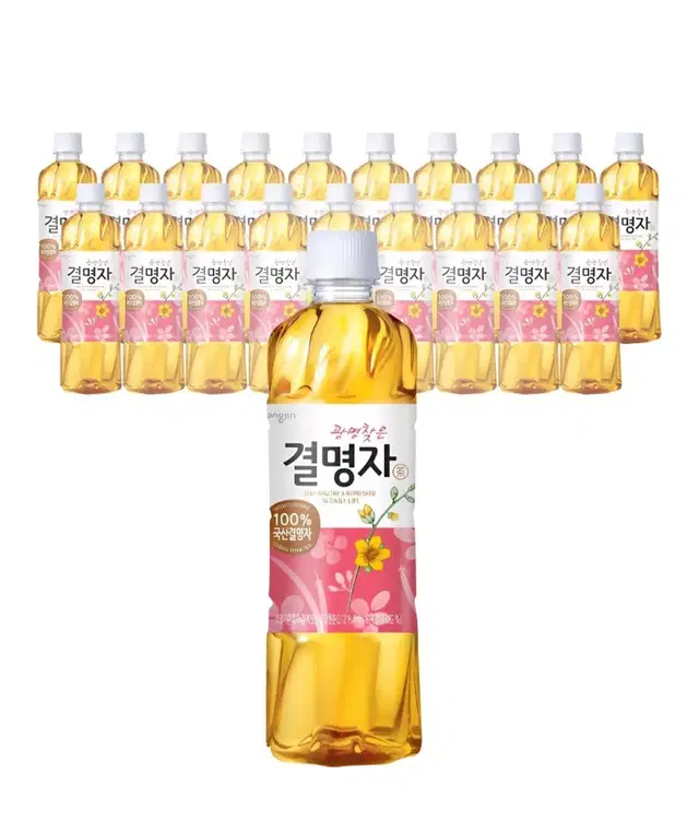 웅진 광명찾은 결명자차, 500ml, 20개  눈에 좋은