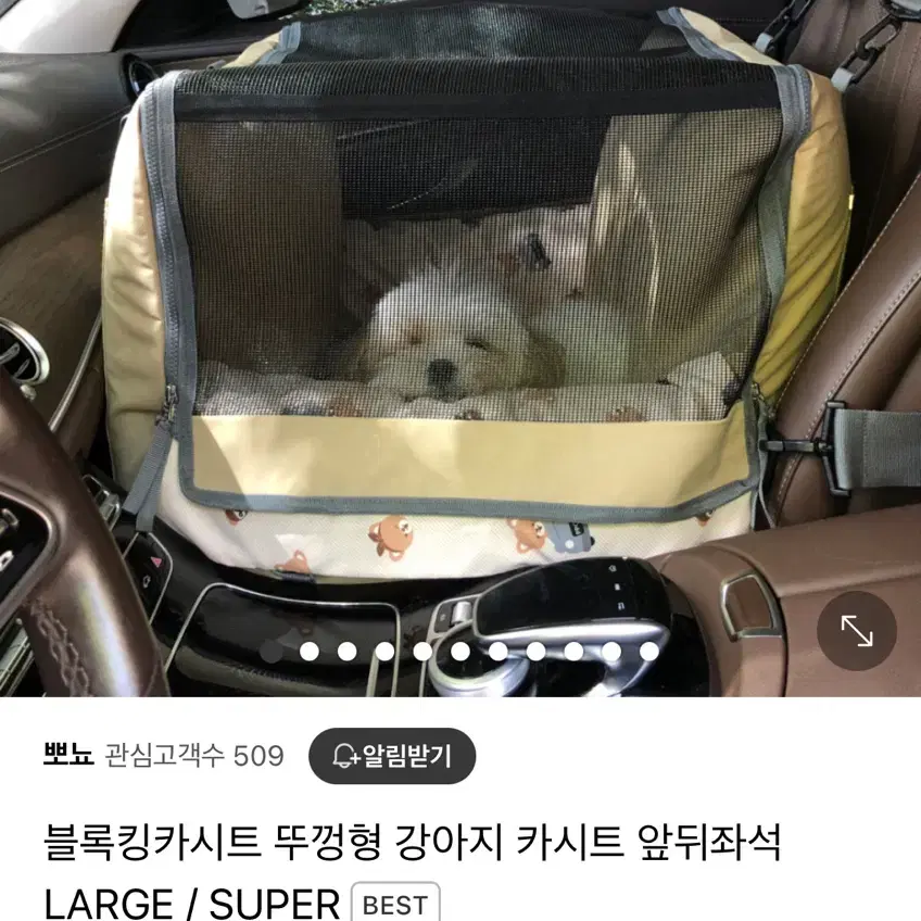 뽀뇨 강아지 카시트