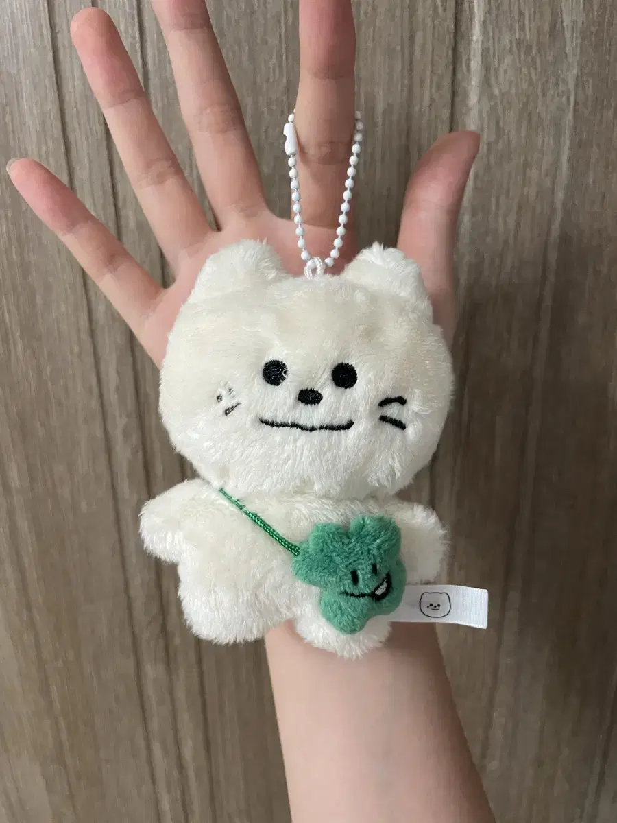 Astro moonbin New label mozzabine + four leaf clover bag.