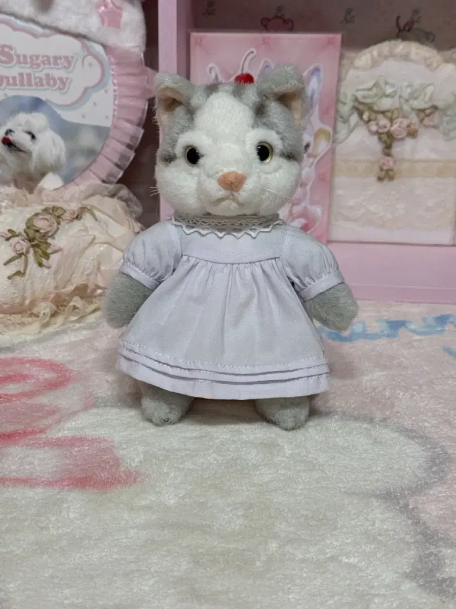 Peter Rabbit Cat Vintage