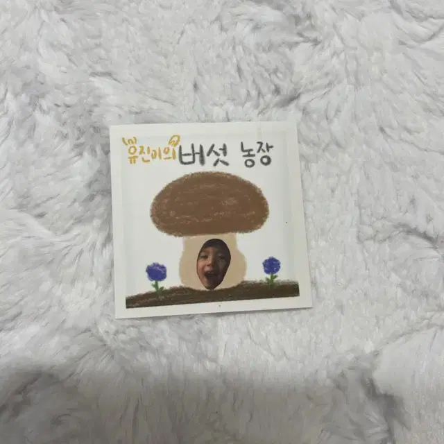 제로베이스원 버섯농장 도무송 장하오 한유진 성한빈