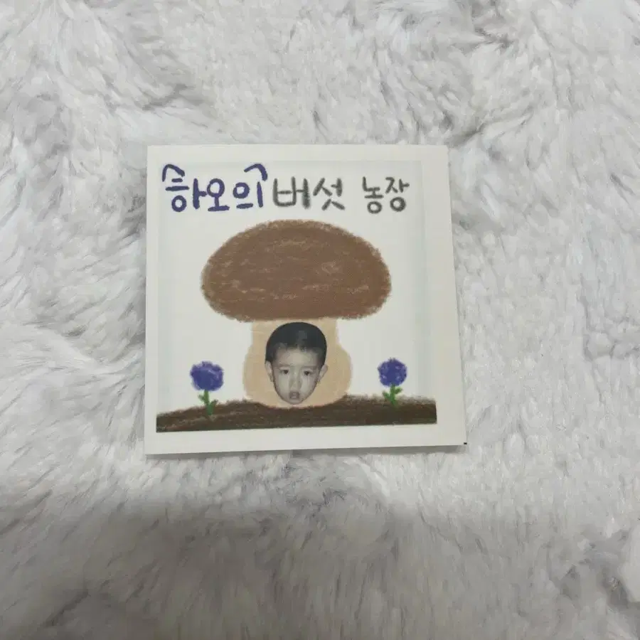 제로베이스원 버섯농장 도무송 장하오 한유진 성한빈