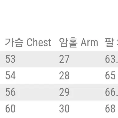 (42)버즈릭슨 피코트 윌리엄깁슨