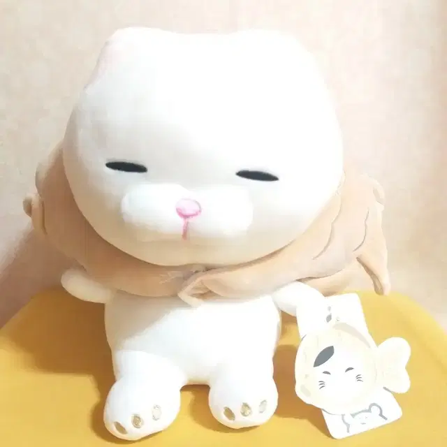 붕어빵 냥냥이 인형(25cm)