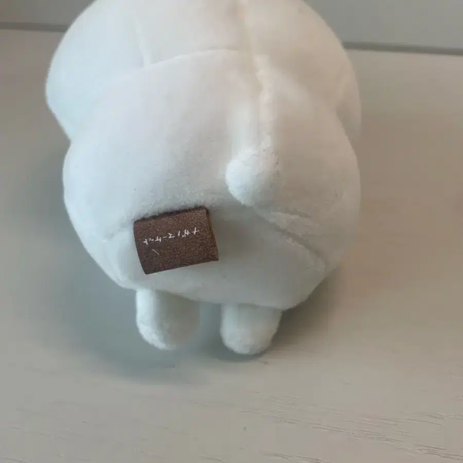 꼬옥 앉은 농담곰 체육 농담곰