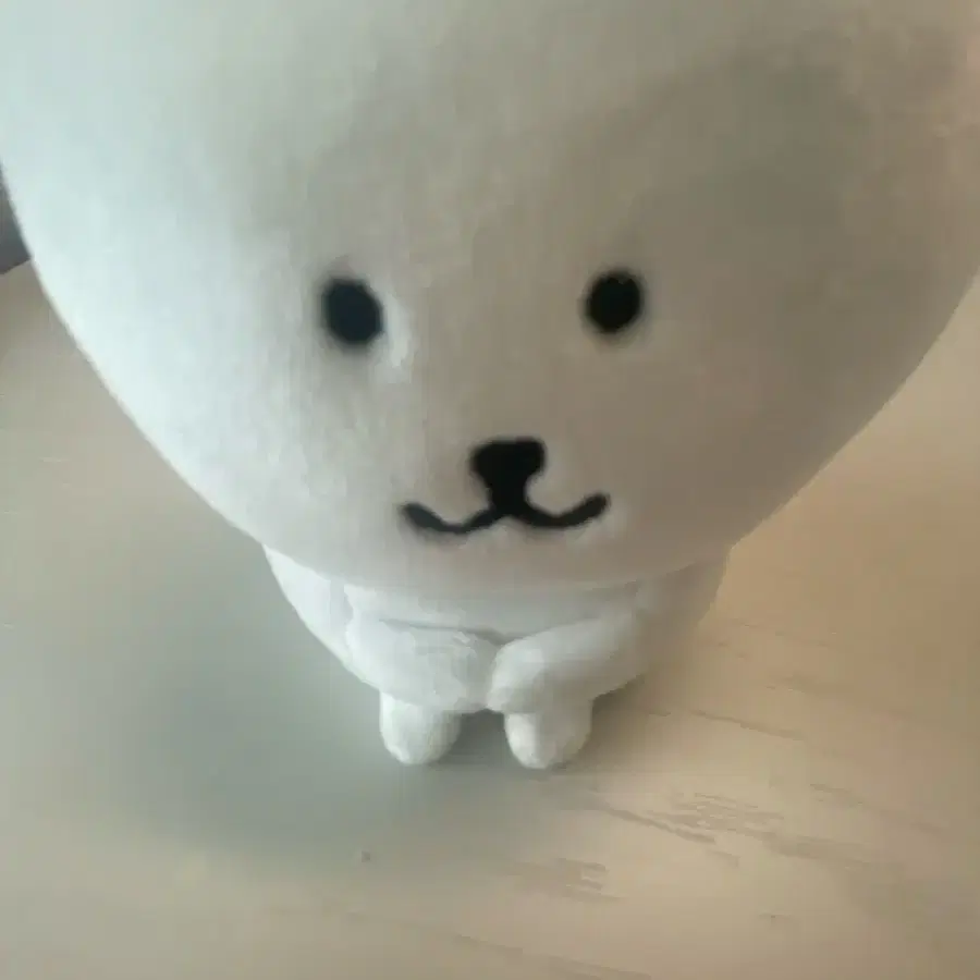 꼬옥 앉은 농담곰 체육 농담곰