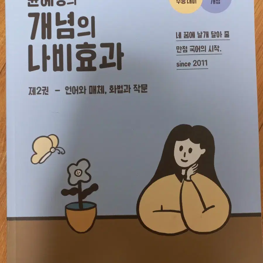 개념의 나비효과