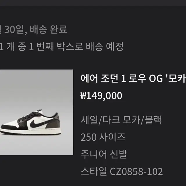 조던 1 다크모카 로우 250