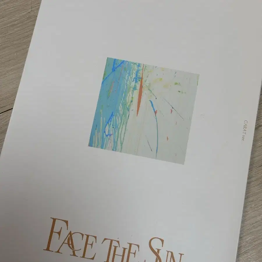 세븐틴 FACE THE SUN 페더썬 앨범 캐럿반(호시, 원우)