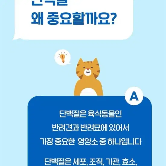 고양이 강아지 펫밀크 / 닥터뉴토 단백질 프로틴 우유 10개