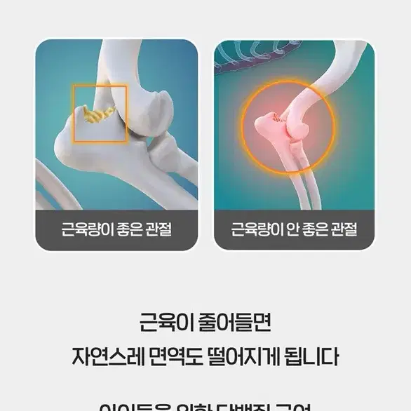 고양이 강아지 펫밀크 / 닥터뉴토 단백질 프로틴 우유 10개