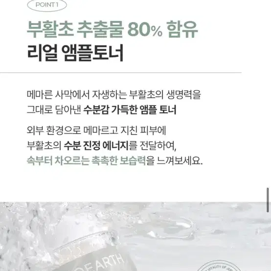 미개봉) 누토 부활초 수분 앰플 토너250ml