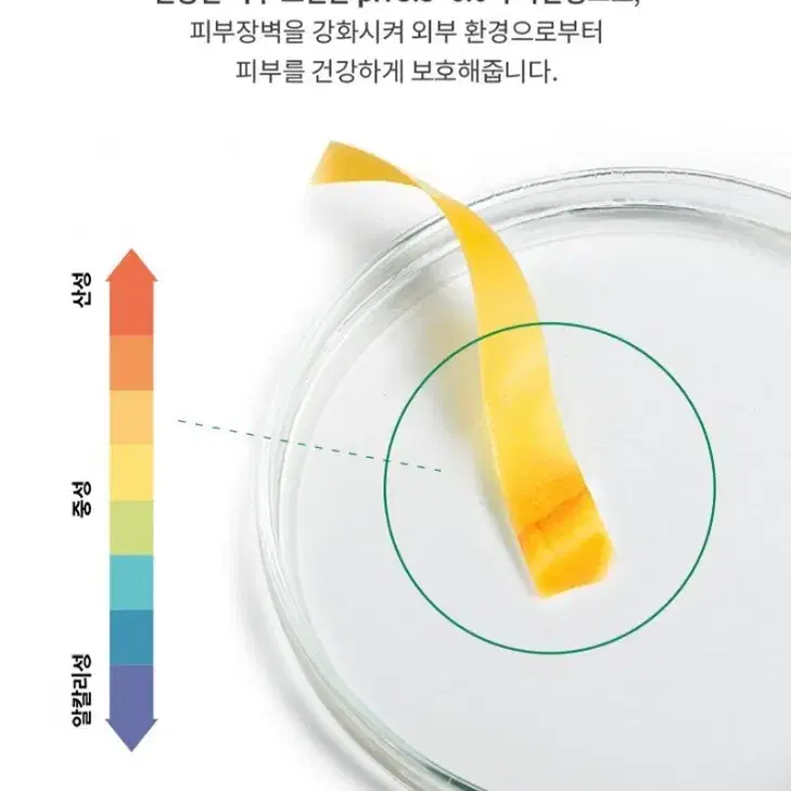 야다 선인장 토너 패드