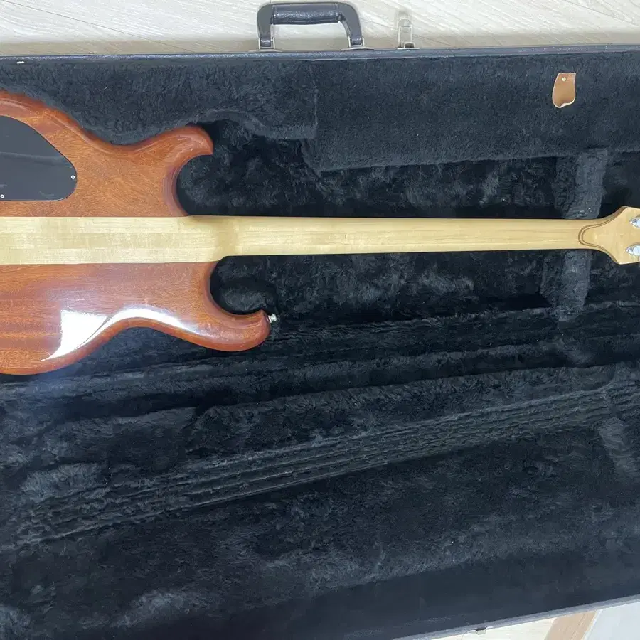 [Rare] 1988 빈티지 알렘빅 Alembic Persuader 4현