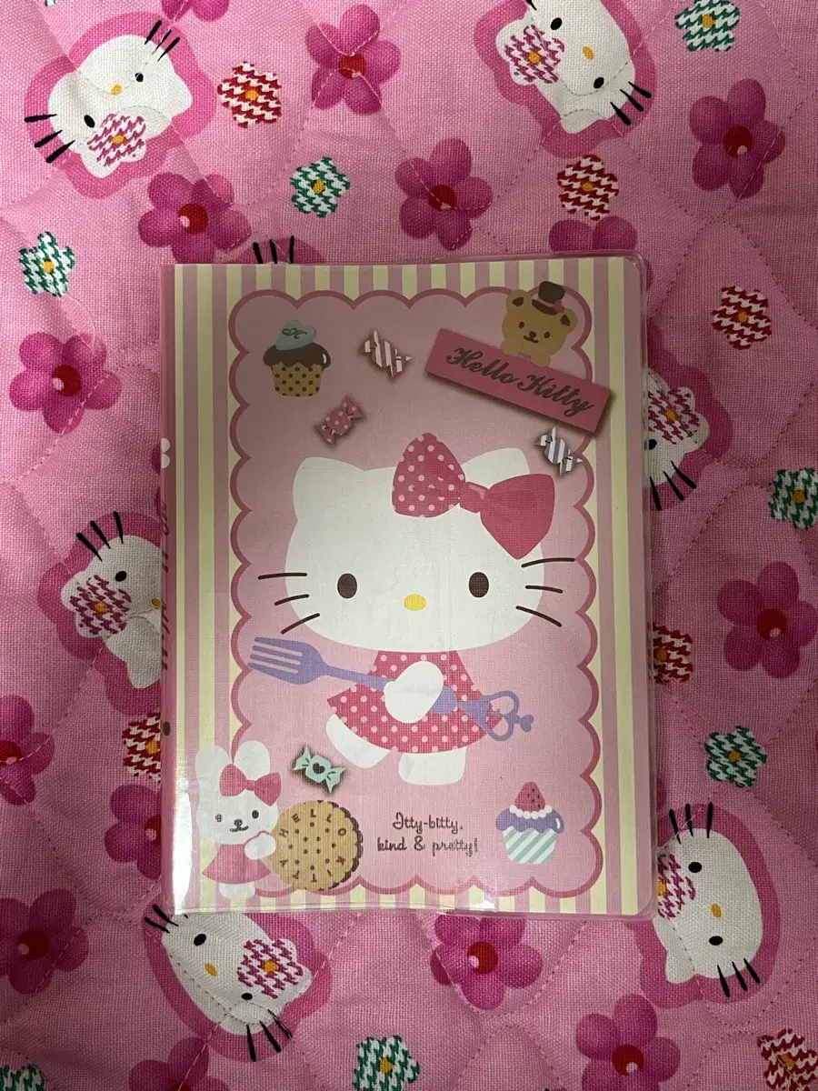 Kitty's notebook