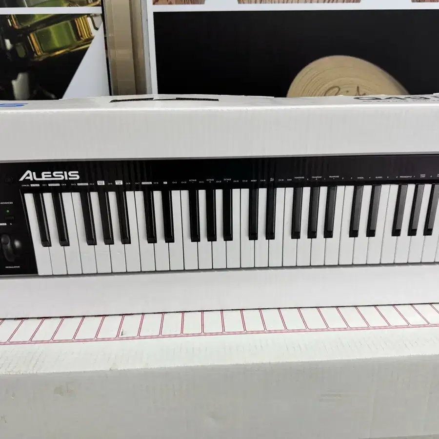 Alesis Q49mk2 신형