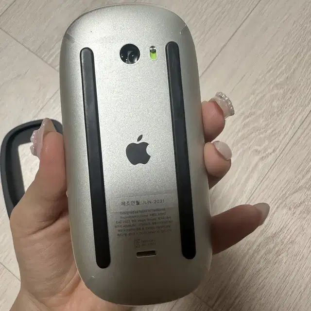 Apple Mouse