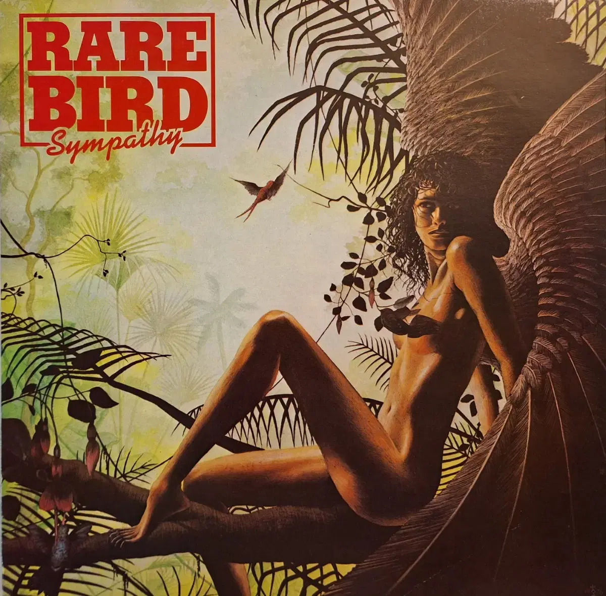 국내라이센스반/Rare Bird - Sympathy LP