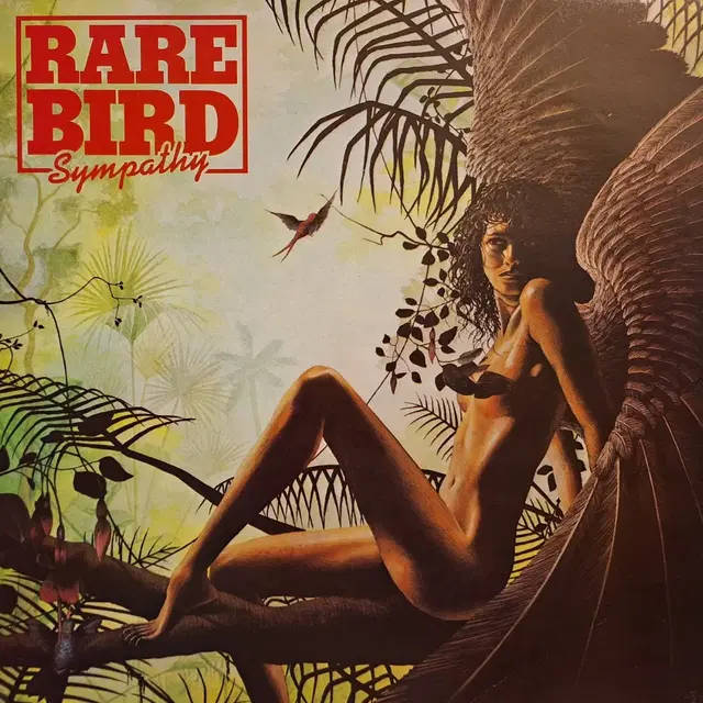 국내라이센스반/Rare Bird - Sympathy LP