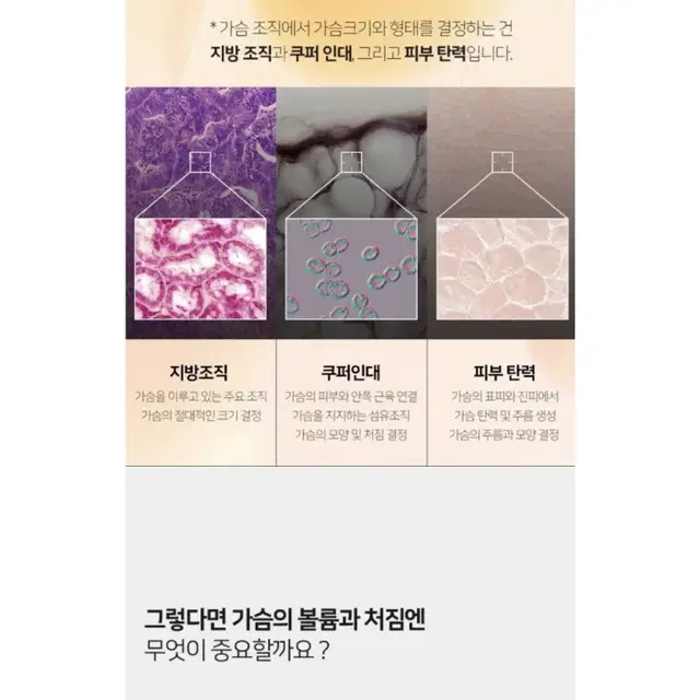 포코엘 바스트 가슴처짐 개선 크림