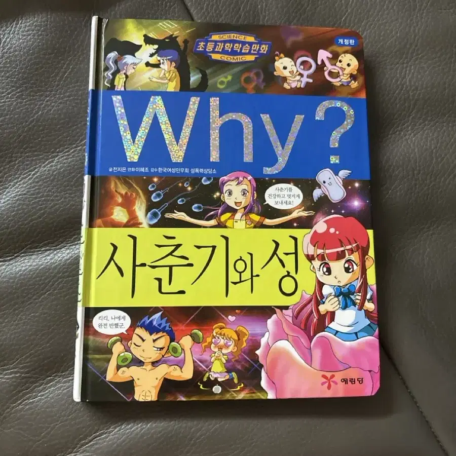 사춘기와 성(책)