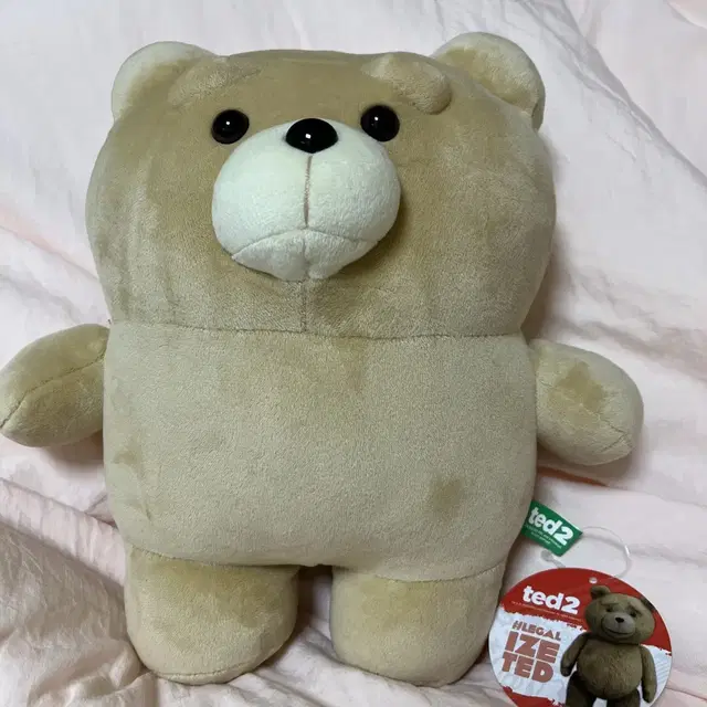 //테드2 곰인형// 27cm 인형 판매합니당