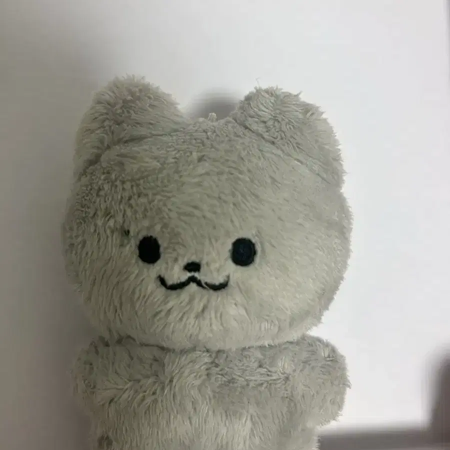 팔렸어요!!! ) 더보이즈 주연 인형 ( 주냥이 ) 양도