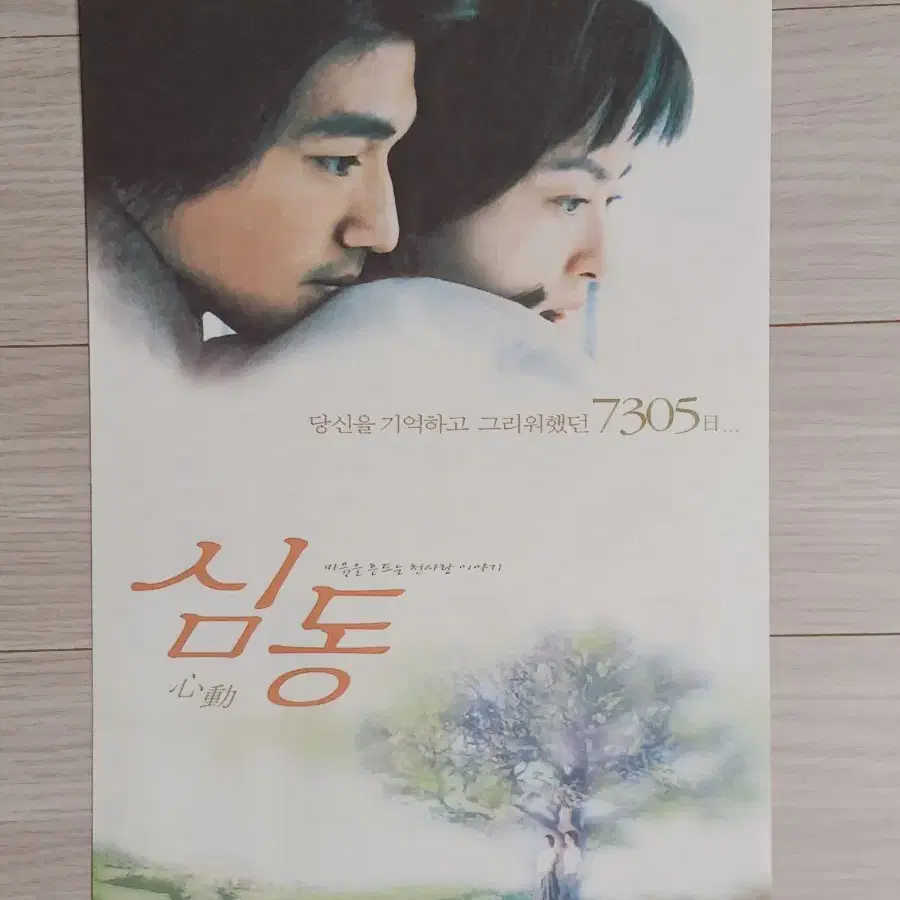 금성무 막문위 심동(2000년)전단지