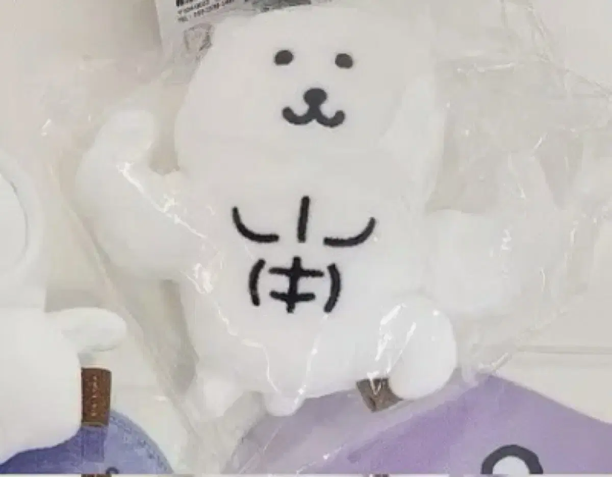 근육곰 농담곰 새상품