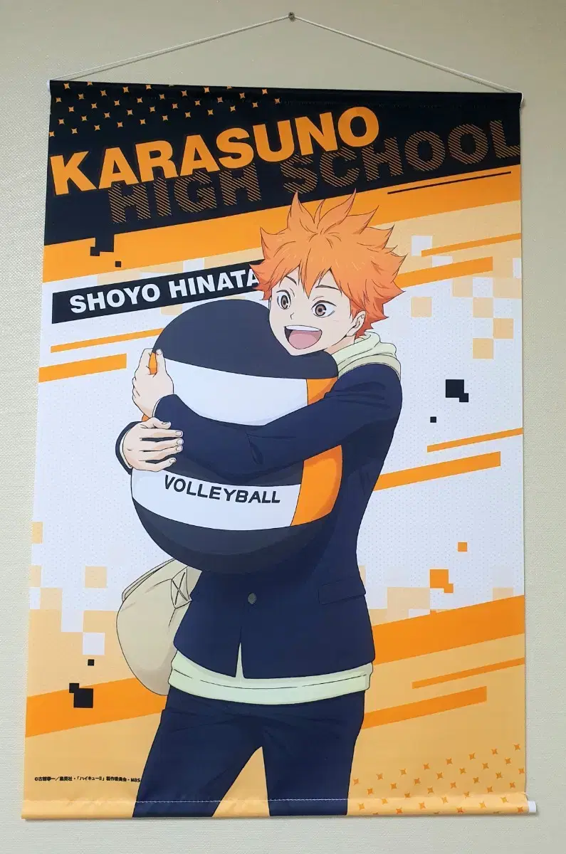 Haikyuu hinata Tepistri Tetragrammaton