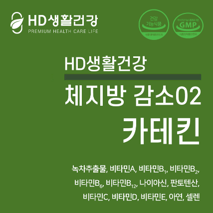 [HD생활건강]체지방 감소02 카테킨 700mg42정x2BOX