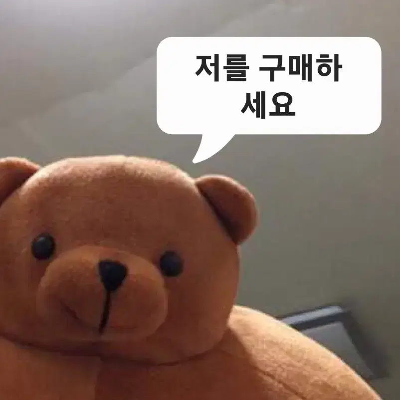 [무배][미개봉] 소두곰 근육곰 어깡곰 곰인형 팔아요