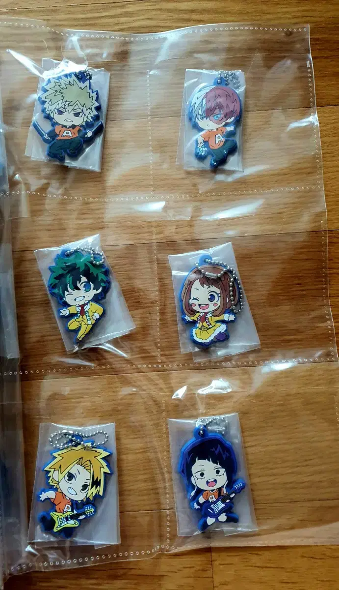 Bulk) Hiroaka School Festival keyring 8 varieties