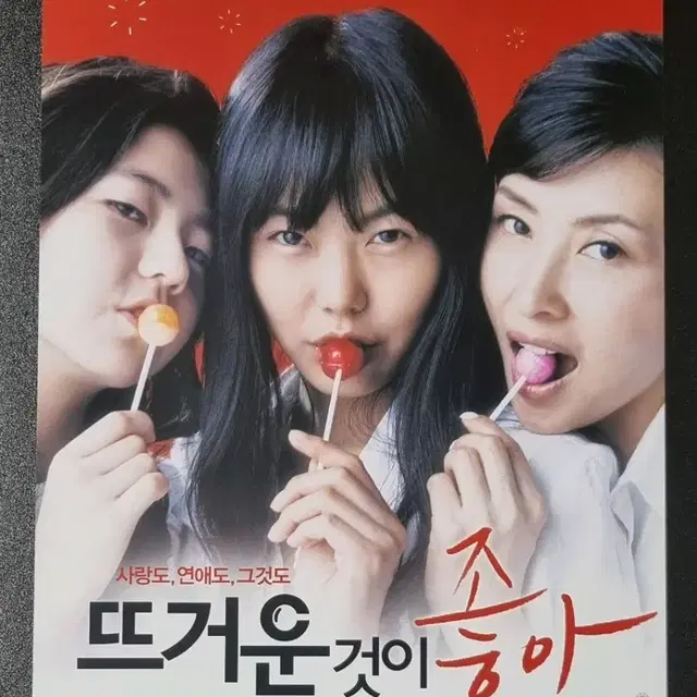 [영화팜플렛] 뜨거운것이좋아 (2008) 안소희 김민희 영화전단지