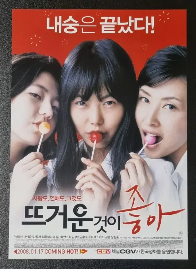 [영화팜플렛] 뜨거운것이좋아 (2008) 안소희 김민희 영화전단지