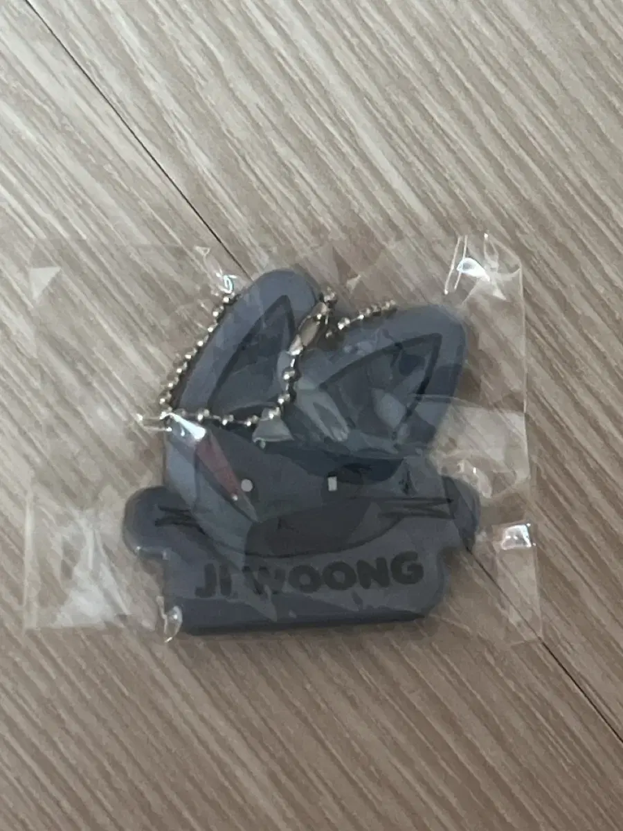 ZB1 Ungnini Malang Keyring