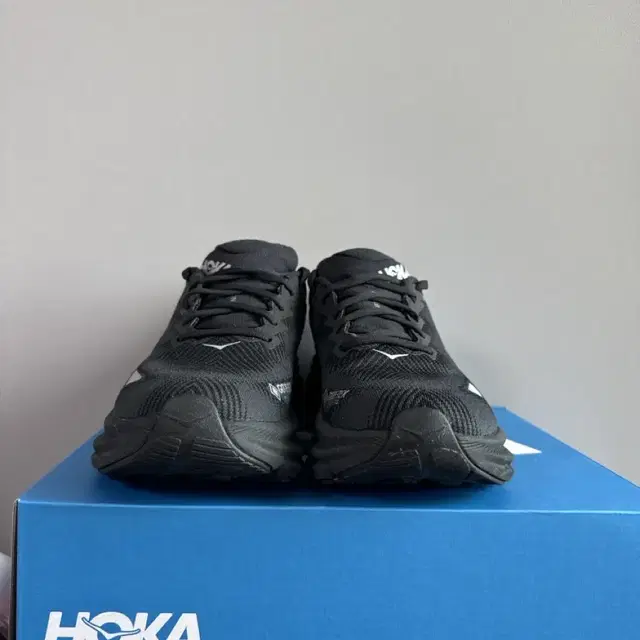 Hoka 클리프톤 gtx 255