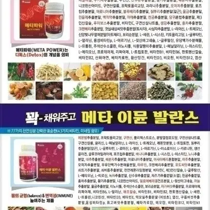 메타이뮨밸런스