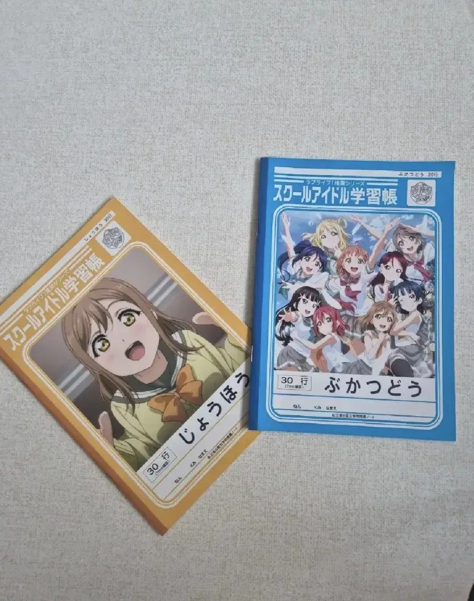 New (Rare) Lovelive Illustrated Notebook Merchandise Notebook